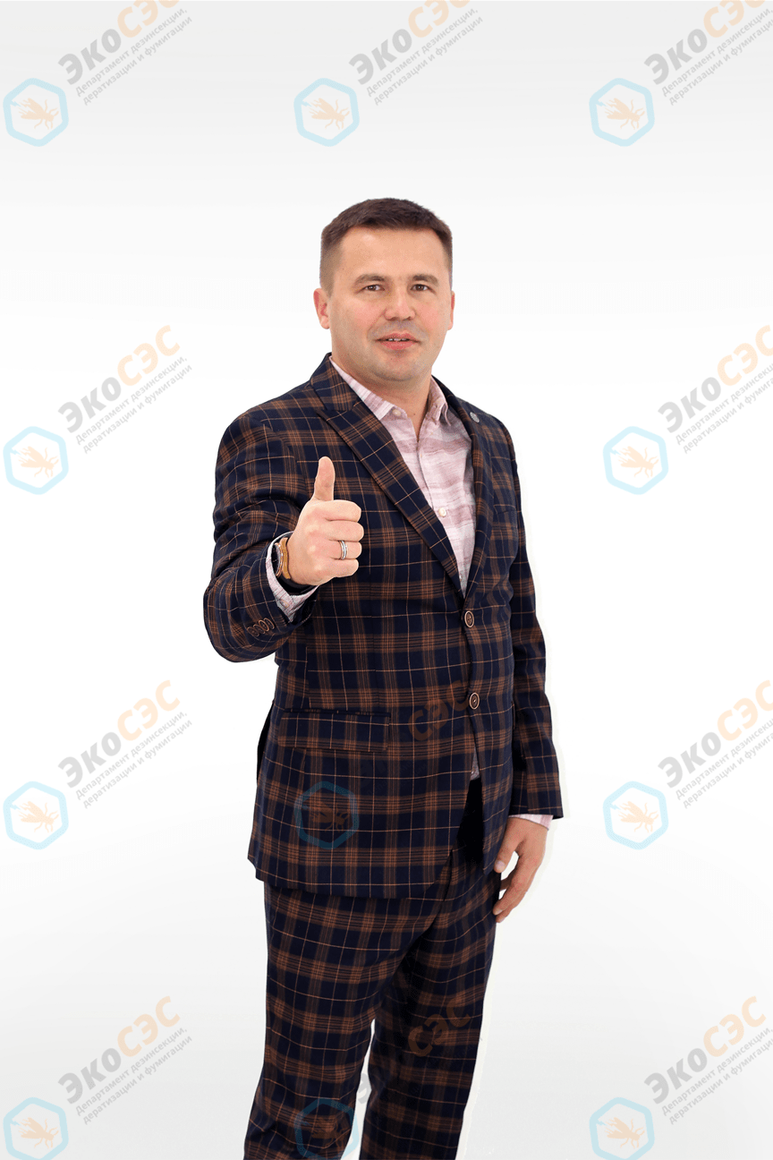 Генеральный директор Роман Анатольевич Ипатов - фото